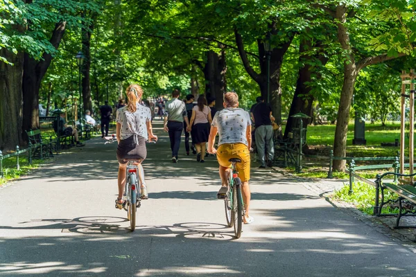 Kilku Młodych Ludzi Chłopiec Dziewczynka Jeździli Rowerami Asfaltowej Ścieżce Wśród — Zdjęcie stockowe