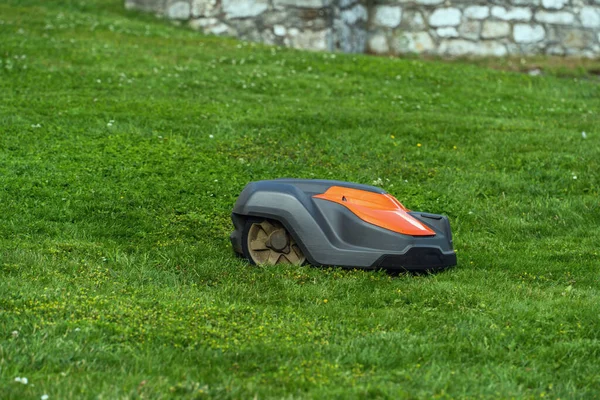 Automatic robotic lawn mower mows grass on a green lawn on a summer day, modern lawn care technology, side view of an offline lawn mower