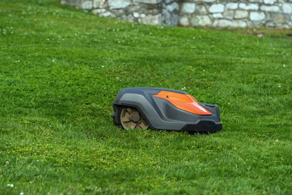 Otomatik robot çim biçme makinesi bir yaz günü yeşil çimlerde çim biçer, modern çim biçme teknolojisi, çevrim dışı bir çim biçme makinesinin yan görüntüsü
