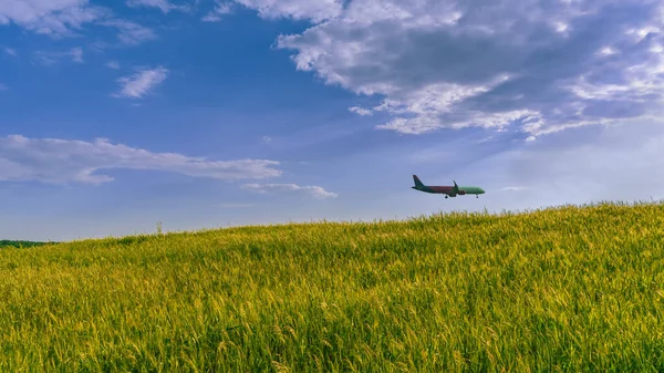 Het Vliegtuig Vliegt Laag Het Groene Tarweveld Onder Blauwe Hemel — Stockfoto