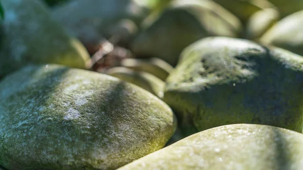 Smooth Large Stones Backlit Sunlight Natural Background Image Natural Stones — Stockfoto