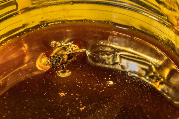 Close Bee Glass Jar Natural Honey Light Glare Surface Honey — Photo