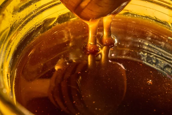 A stream of flower honey flow down into a glass jar with natural honey, reflection of the spindle of a spoon on the surface of honey, sweet organic food