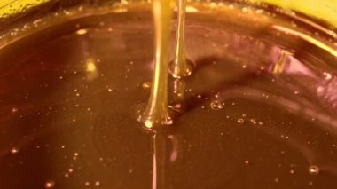 A flow of flower honey flows into a glass jar with natural honey, reflections on the surface of honey, sweet organic product