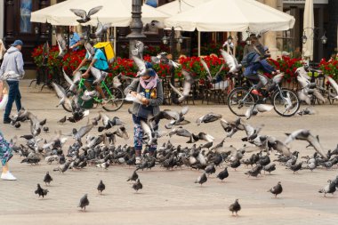 An elderly woman in a blue hat feeds pigeons with bread crumbs on the street of the old town on a sunny day, caring for birds, life of pensioners, street photography of real people Krakow