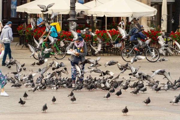 An elderly woman in a blue hat feeds pigeons with bread crumbs on the street of the old town on a sunny day, caring for birds, life of pensioners, street photography of real people Krakow