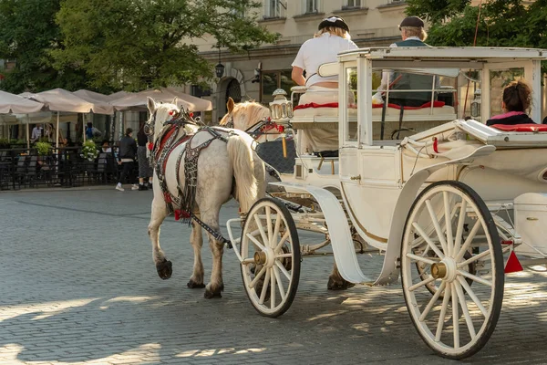 Krakow 'da güneşli bir yaz akşamında eski kasabanın gri kaldırımlı sokağında turistlerle dolu beyaz atlı bir araba. Avrupa kentleri, gelenekleri ve modernitesinde at tarafından çekilen ulaşım