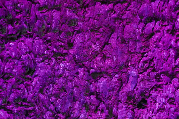 抽象的な紫色の木の樹皮の背景 自然な木の樹皮の質感の閉鎖 ネオンライトの木の幹 天然素材の背景画像 トップビュー — ストック写真