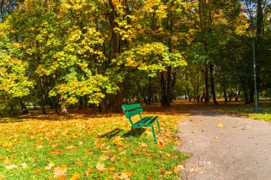 Sonbahar parkındaki patikanın yanındaki yeşil ahşap bankta renkli ağaçlar ve güneş ışığı var. Sonbahar doğal arka plan zemininde altın yapraklar ve ağaç dalları. Yatay yönelim, boşluğu kopyala