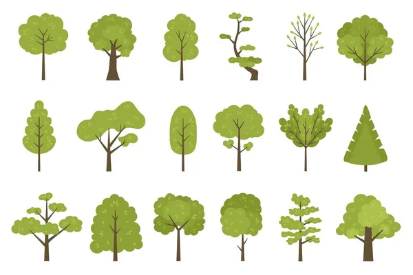 Icônes d'arbres forestiers plats, éléments paysagers de jardin ou de parc. Dessin animé simple tronc d'arbre d'été, feuilles et branches. Ensemble vectoriel arbres nature — Image vectorielle