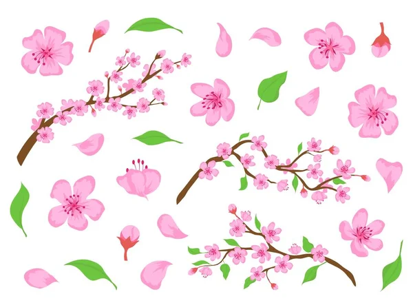 Цветок сакура розовые цветы, почки, листья и ветви деревьев. Весенняя японская вишня цветочные элементы. Набор векторов цветов яблок или персиков — стоковый вектор