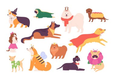 Maskeli balo kıyafetleri giymiş komik cins köpekler. Süper kahraman köpek. Moda kostümlü köpek yavrusu karakterleri, yay ve şapka vektörü seti