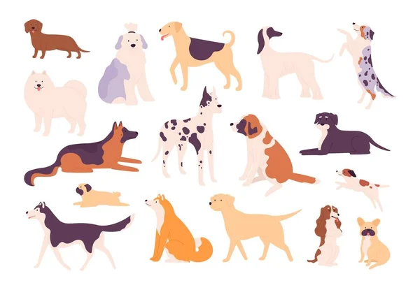 Flat dogs and puppies big and small breed types. Shiba inu, german shepherd, beagle, pug, dachshund and husky. Pet animal dog vector set — стоковий вектор