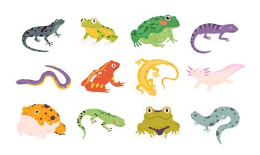 Çizgi filmlerdeki egzotik amfibiler ve sürüngenler, kertenkeleler, semenderler, kurbağalar ve kurbağalar. Tropikal hayvanlar, gecko, triton, semender ve axolotl vektör kümesi