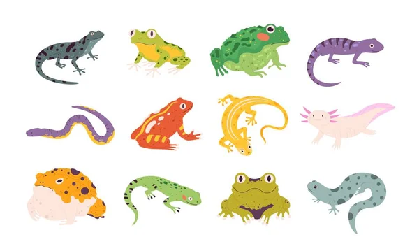 Cartoon exotische amfibie en reptielen, hagedissen, salamanders, padden en kikkers. Tropische dieren, gekko, triton, salamander en axolotl-vectorverzameling — Stockvector