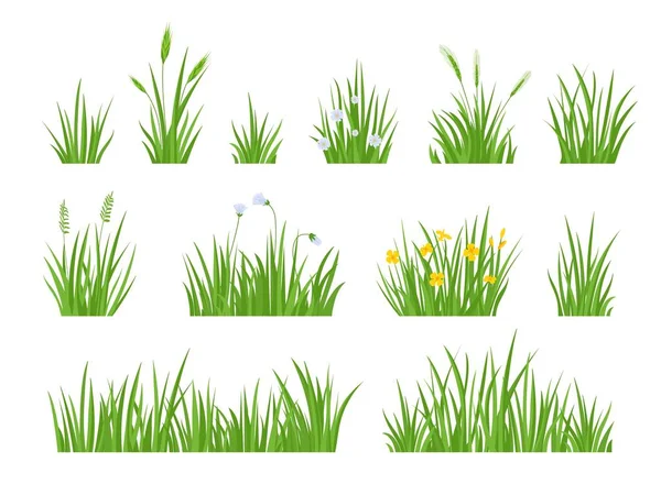 Cartoon green meadow grass with flower, herbs and spike ears. Spring garden lawn horizontal borders. Field fresh natural grass vector set — Stock Vector