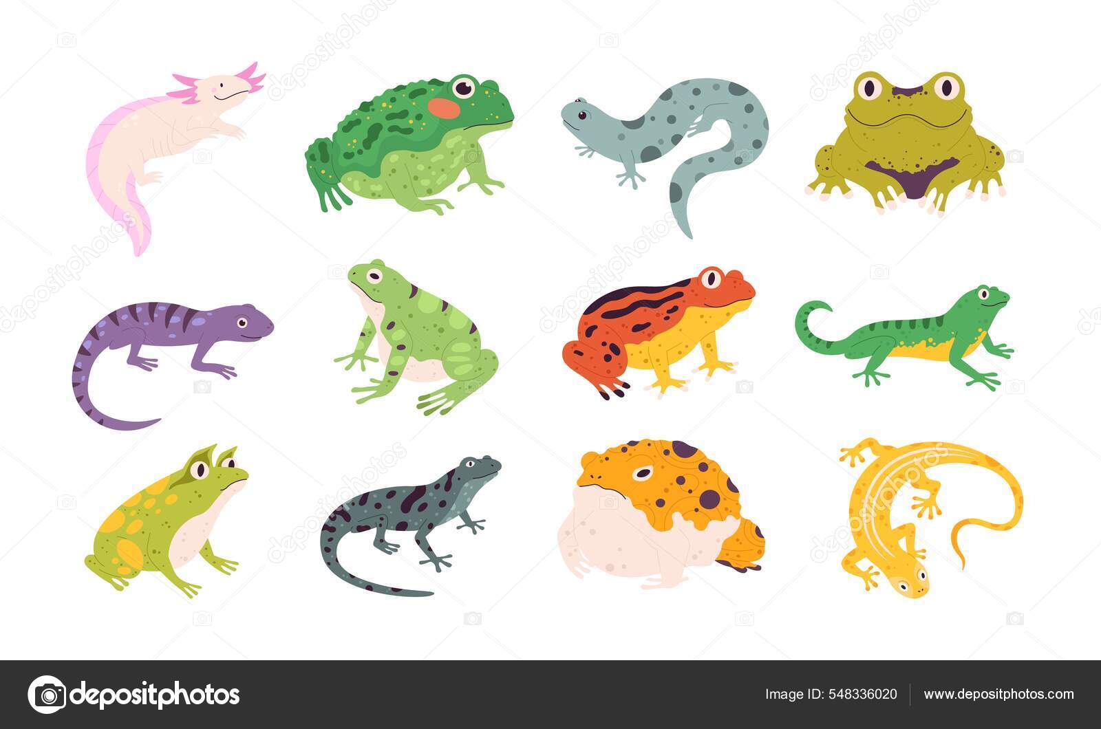Toad is cheap reptile or amphibian