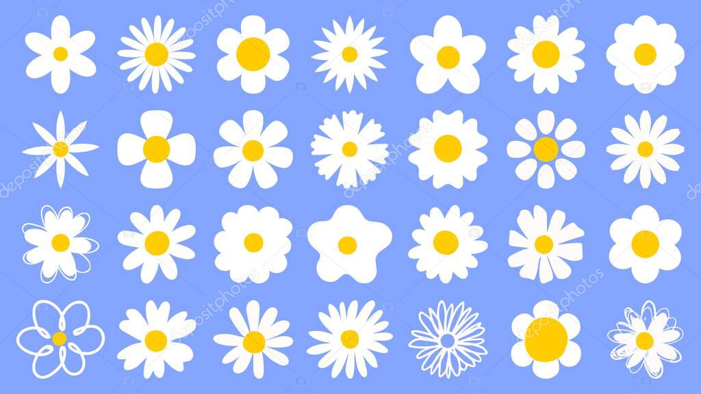 Cartoon daisy logo designs, chamomile flower icons. Flat spring floral elements. Blossom flowers with white petals. Doodle daisy vector set of cartoon spring decoration illustration