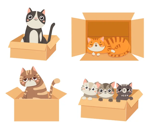 Macskák a dobozokban. Állatok ülnek és alszanak kartondobozokban. Kiscicák vigyáznak. Bolyhos aranyos kisállat karakterek — Stock Vector