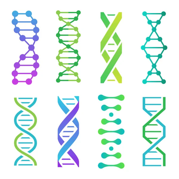 Colorful DNA icons. Spiral molecule structure for scientific research. Human genetic code with information — Stock Vector