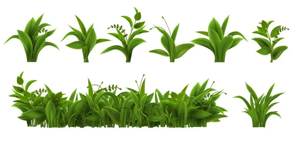 Grama verde fresca realista, ervas daninhas e folhas de ervas. Tufos de plantas de primavera e arbustos. Campo de verão, gramado de jardim ou conjunto de vetor de vegetação de prado — Vetor de Stock