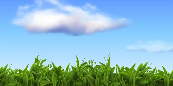Paisagem natural realista com grama fresca e céu azul com nuvens. Primavera fazenda verde ou campo de futebol, prado ou gramado cena vetorial grama —  Vetores de Stock