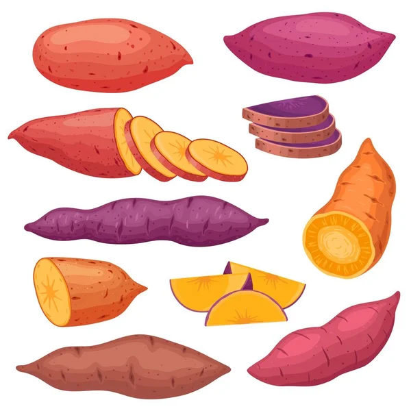 Dessin animé types de patates douces, igname tranchée ou bâton. Pommes de terre rouges sucrées cuites au four, collation de légumes d'automne chaude. Ensemble vecteur alimentaire végétalien naturel — Image vectorielle