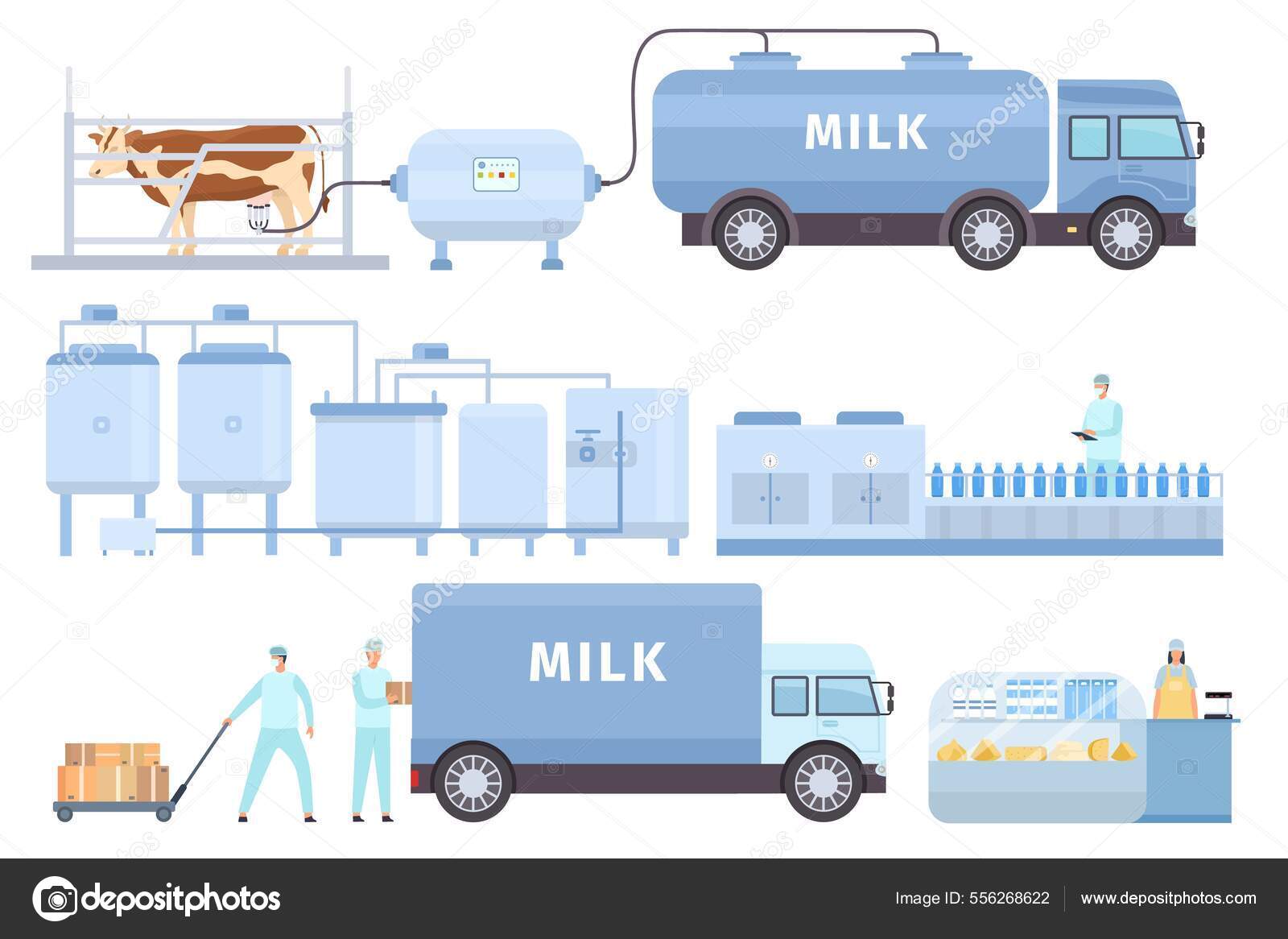Cow milk automated process on factory line with worker. Flat farm dairy