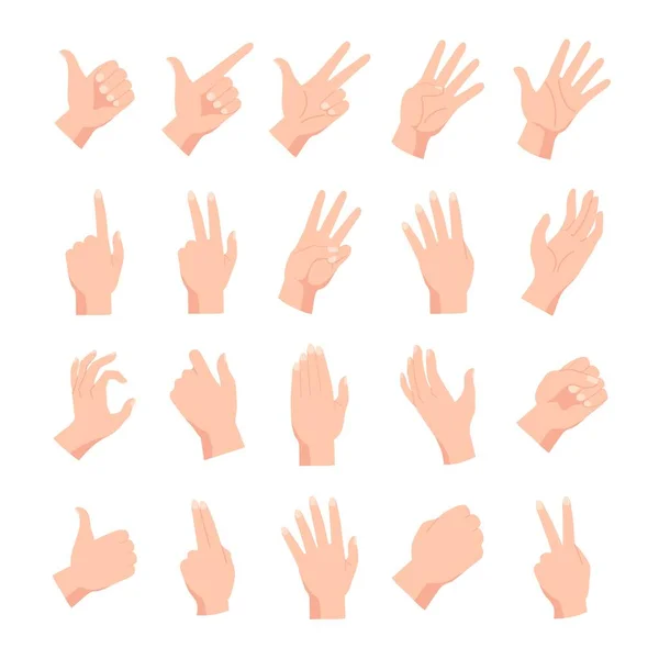 Cartoon human female or male hands poses and gestures. Hand holding, pointing, fist, peace and open palm expression. Arm position vector set — Stock Vector