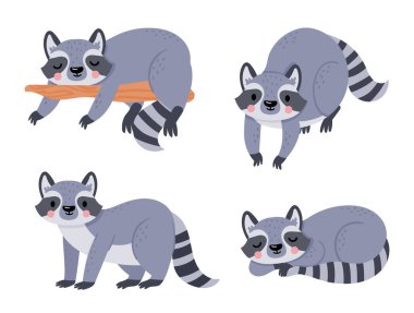 Tatlı çizgi film bebek rakun, hayvan uykusu ve dinlenme.