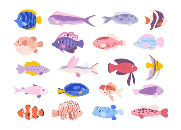 Rajzfilm aranyos trópusi óceán egzotikus akvárium halak. Aranyhalak, tetra, grillhal, angyalhal és oroszlánhal. Kisméretű édesvízi halvektor készlet — Stock Vector