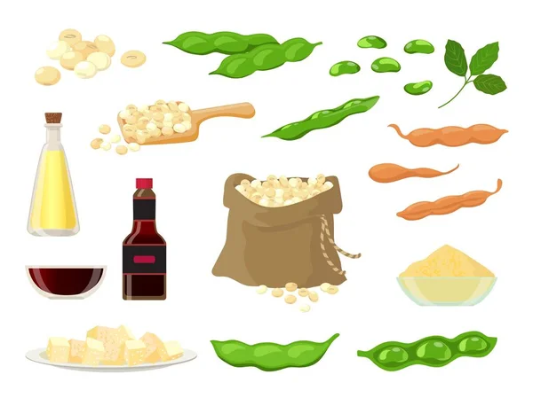 卡通豆制品、油、奶、味、豆腐、酱油.在袋子、勺子、豆荚和叶子中烘干大豆.健康素食豆类食物病媒集 — 图库矢量图片