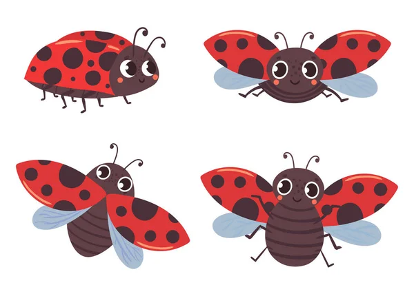 Karikatura beruška hmyz s červenými černými křídly — Stockový vektor