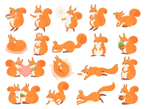 Desenhos animados esquilo coleção poses, feliz e amor —  Vetores de Stock
