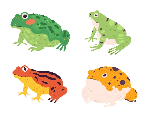 Froschset vorhanden. Tropisch bunte Tiere. Unterschiedliche Charaktere der Fauna oder der Natur. Exotische grüne, gelbe und orangefarbene Amphibien — Stockvektor