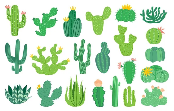 Kaktusz növény. Rajzfilm dekoratív egzotikus zamatos, trópusi sivatagi növény. Vektor mexikói aloe izolált készlet — Stock Vector