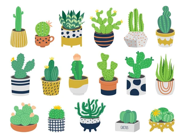 Cactus en pots. Mignon dessin animé plantes exotiques succulentes dans des pots de fleurs, plante décorative du désert. Ensemble isolé vectoriel — Image vectorielle