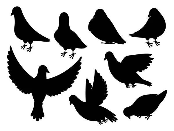 Silhouette Piccione Uccello Volante Nero Silhouette Colomba Isolata Bianco Collezione — Vettoriale Stock