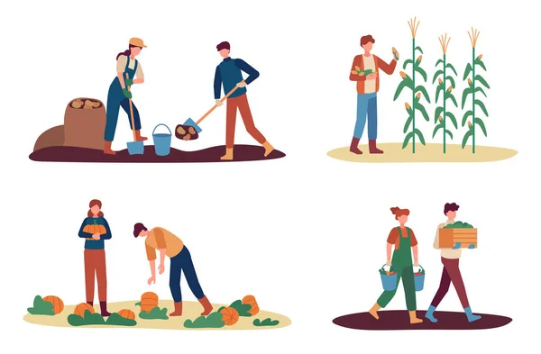Autumn Harvest Female Male Farm Workers Gathering Crops Man Digging — Stock Vector