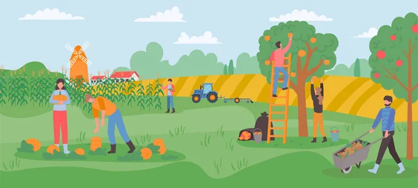 Осенний Сбор Фермеры Собирают Плоды Урожая Саду Сбор Урожая Векторных — стоковый вектор