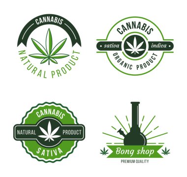 Marihuana etiketi. Modern kenevir logo şablonları. Organik tıbbi ürün tasarım elementleri. Doğal yasal ilaç tedavisi ya da terapi konsepti. Narkotik izole edilmiş rozet vektör çizimi