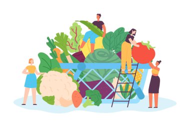 Tiny people with vegetables. Female and male characters carrying veggies to basket. Container full of fresh, organic food as cabbage, tomato, eggplant, corm and broccoli. Healthy lifestyle