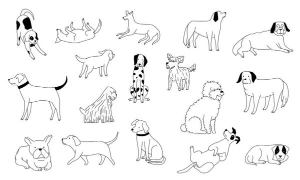 Cute Doodle Dog Line Black White Funny Puppies Hand Drawn — Stock Vector