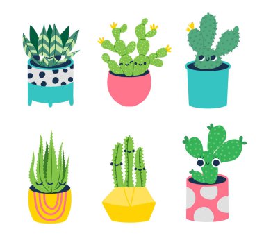 Cactus with faces, home plant of set. Illustration of cactus and cacti with flowers character vector