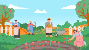 People working at garden or farm, collect harvest. Vector farm harvest, farmer plantation and collecting, farmland illustration concept