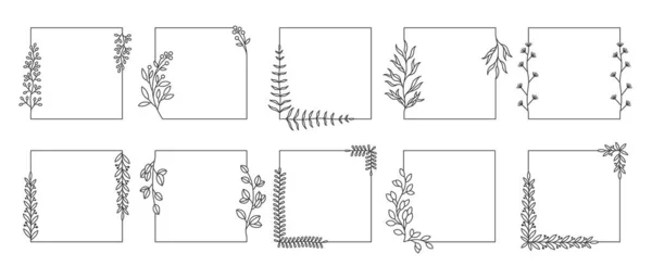 Square Botanical Frames Line Doodle Herbal Borders Floral Framing Decorative — Archivo Imágenes Vectoriales