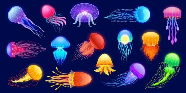 Glowing Jellyfish Cartoon Underwater Exotic Sea Animals Different Colors Shapes — Stock Vector