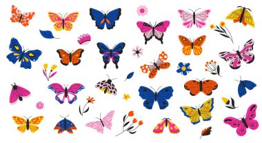 Butterflies and flowers. Exotic moths and tropical plants, decorative vibrant collection of spring colorful flying winged insects and leaves. Vector vivid set. Different colorful insects