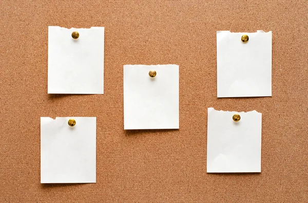 Blank paper notes are pinned to a cork board. Copy space. — 图库照片