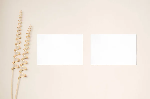 Las tarjetas blancas invitan a la maqueta y la rama decorativa de la vid seca. Fondo beige. Copiar espacio. — Foto de Stock
